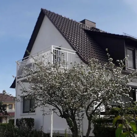 Haensel